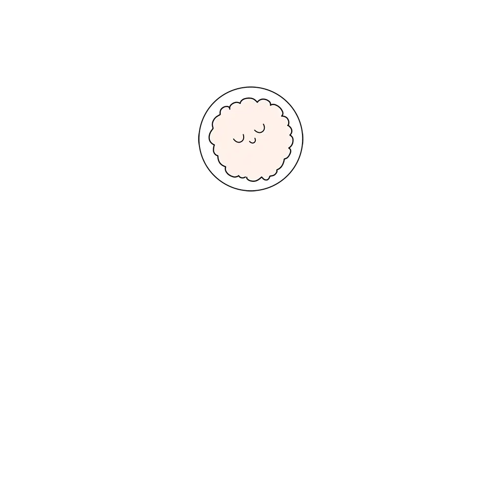 hi app illust ly3 opt